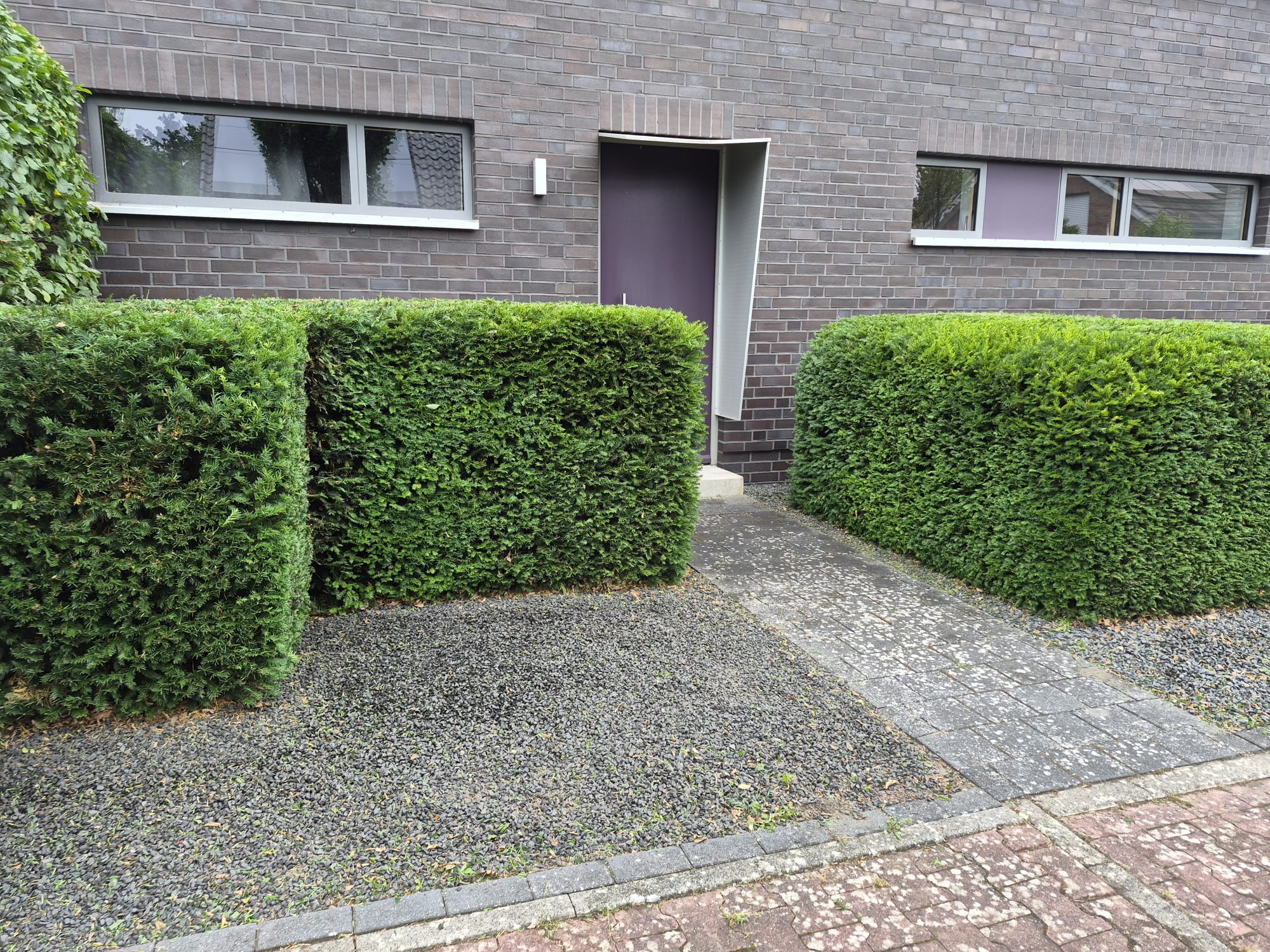 Aktuelle Arbeit 1
